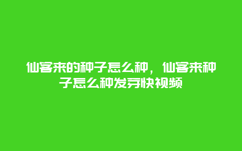 仙客来的种子怎么种，仙客来种子怎么种发芽快视频