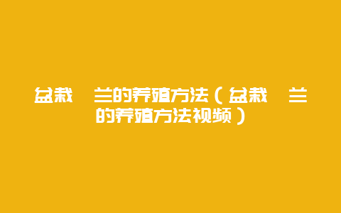 盆栽蕙兰的养殖方法（盆栽蕙兰的养殖方法视频）