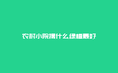 农村小院摆什么绿植最好