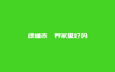 绿植赤楠养家里好吗