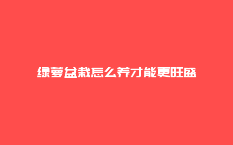 绿萝盆栽怎么养才能更旺盛