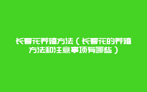 长春花养殖方法（长春花的养殖方法和注意事项有哪些）