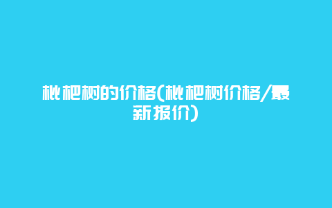 枇杷树的价格(枇杷树价格/最新报价)