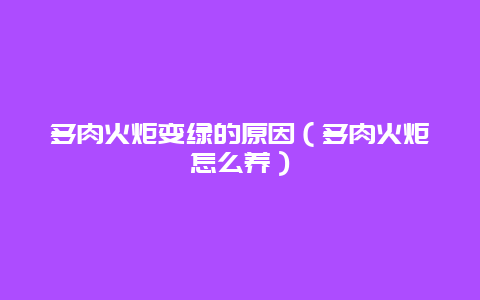 多肉火炬变绿的原因（多肉火炬怎么养）