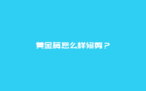 黄金梅怎么样修剪？