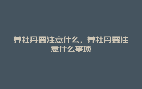 养牡丹要注意什么，养牡丹要注意什么事项