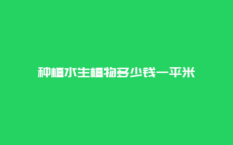 种植水生植物多少钱一平米