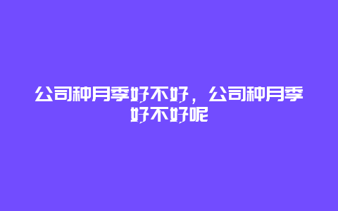 公司种月季好不好，公司种月季好不好呢