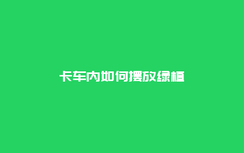 卡车内如何摆放绿植