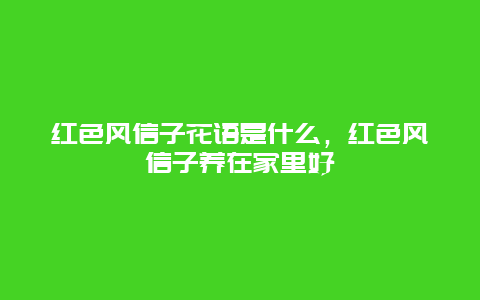 红色风信子花语是什么，红色风信子养在家里好