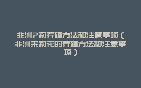 非洲?莉养殖方法和注意事项（非洲茉莉花的养殖方法和注意事项）