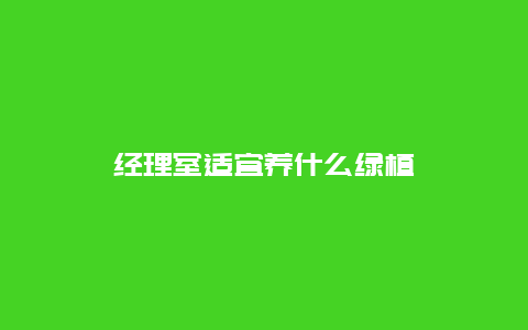 经理室适宜养什么绿植