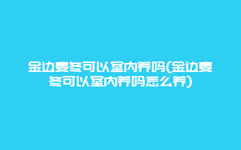 金边麦冬可以室内养吗(金边麦冬可以室内养吗怎么养)