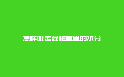 怎样吸走绿植盒里的水分