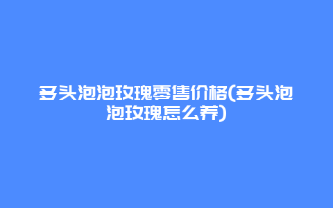 多头泡泡玫瑰零售价格(多头泡泡玫瑰怎么养)