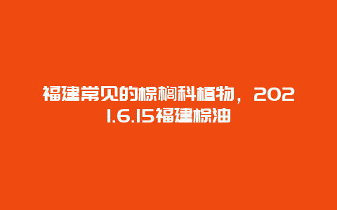 福建常见的棕榈科植物，2021.6.15福建棕油