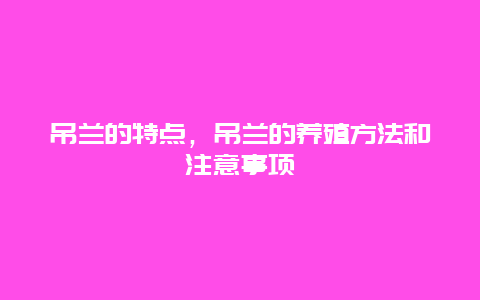 吊兰的特点，吊兰的养殖方法和注意事项