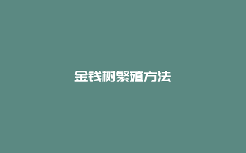 金钱树繁殖方法