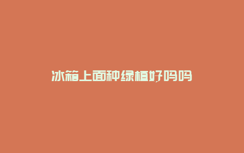 冰箱上面种绿植好吗吗