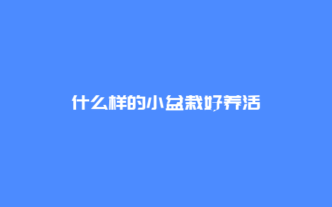 什么样的小盆栽好养活