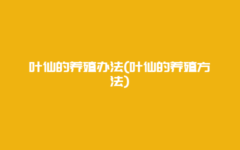 叶仙的养殖办法(叶仙的养殖方法)