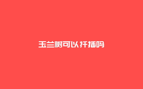 玉兰树可以扦插吗