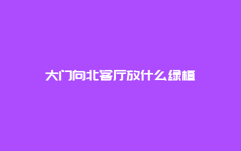 大门向北客厅放什么绿植