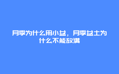 月季为什么用小盆，月季盆土为什么不能放满