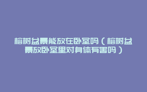 榕树盆景能放在卧室吗（榕树盆景放卧室里对身体有害吗）