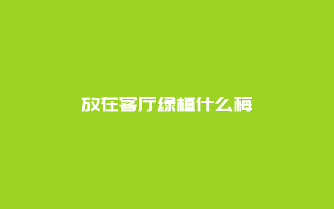 放在客厅绿植什么梅