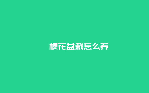 桔梗花盆栽怎么养