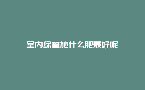 室内绿植施什么肥最好呢