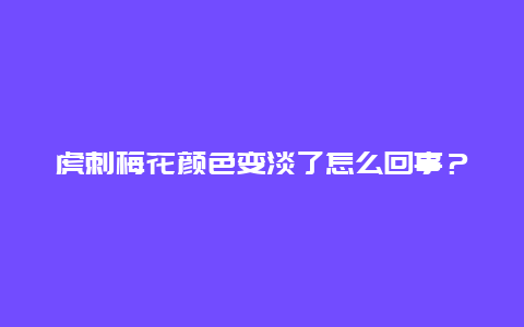 虎刺梅花颜色变淡了怎么回事？