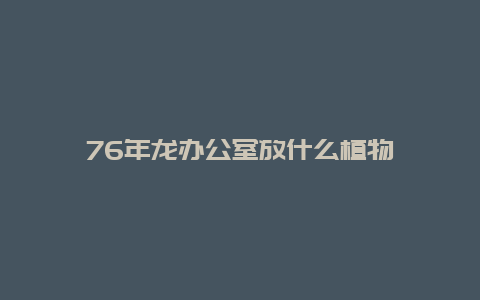 76年龙办公室放什么植物