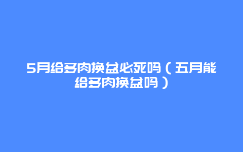 5月给多肉换盆必死吗（五月能给多肉换盆吗）