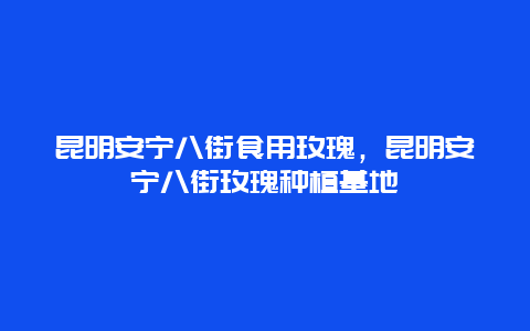 昆明安宁八街食用玫瑰，昆明安宁八街玫瑰种植基地