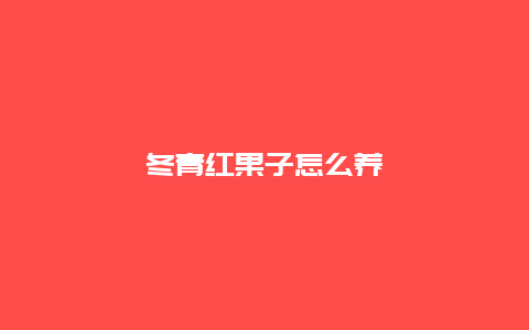 冬青红果子怎么养