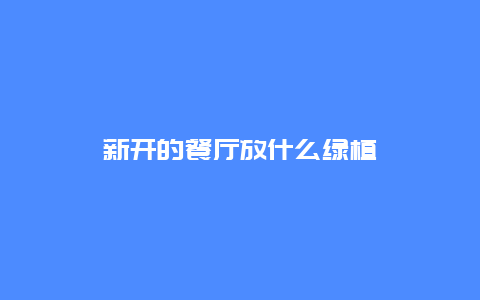 新开的餐厅放什么绿植