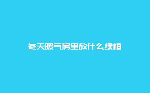 冬天暖气房里放什么绿植