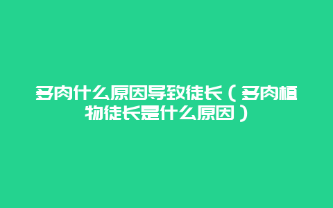 多肉什么原因导致徒长（多肉植物徒长是什么原因）