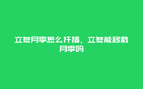 立冬月季怎么扦插，立冬能移栽月季吗