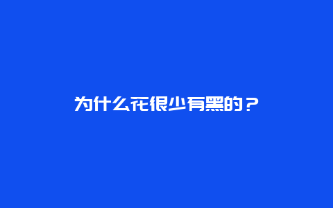 为什么花很少有黑的？