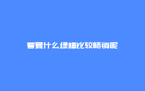 春夏什么绿植比较畅销呢