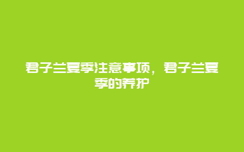 君子兰夏季注意事项，君子兰夏季的养护