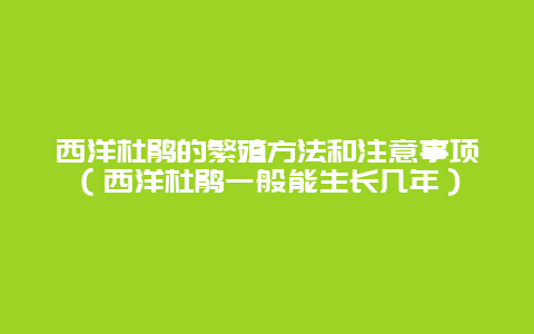 西洋杜鹃的繁殖方法和注意事项（西洋杜鹃一般能生长几年）