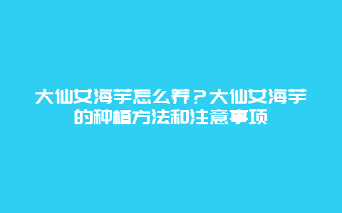 大仙女海芋怎么养？大仙女海芋的种植方法和注意事项