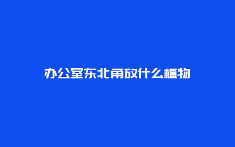 办公室东北角放什么植物