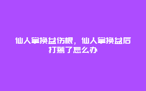 仙人掌换盆伤根，仙人掌换盆后打蔫了怎么办