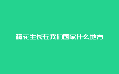 梅花生长在我们国家什么地方