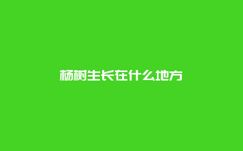 杨树生长在什么地方